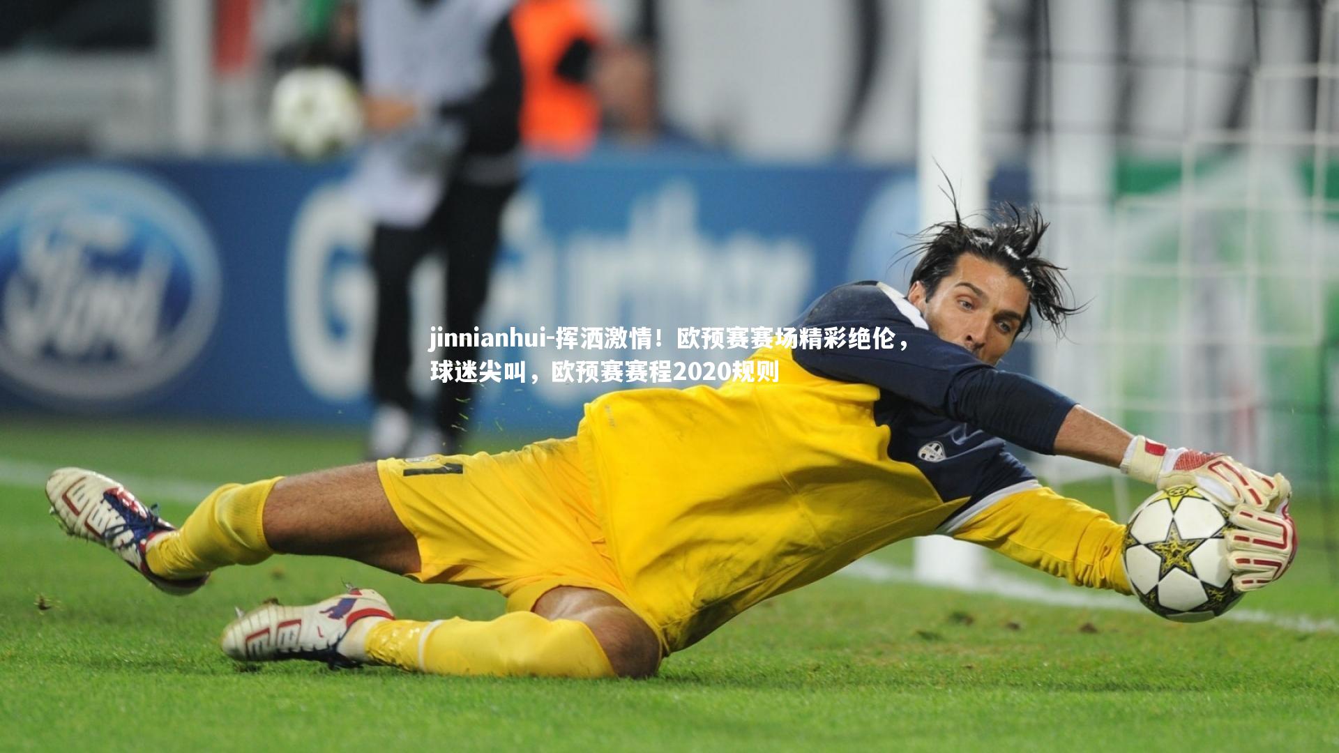 挥洒激情！欧预赛赛场精彩绝伦，球迷尖叫，欧预赛赛程2020规则