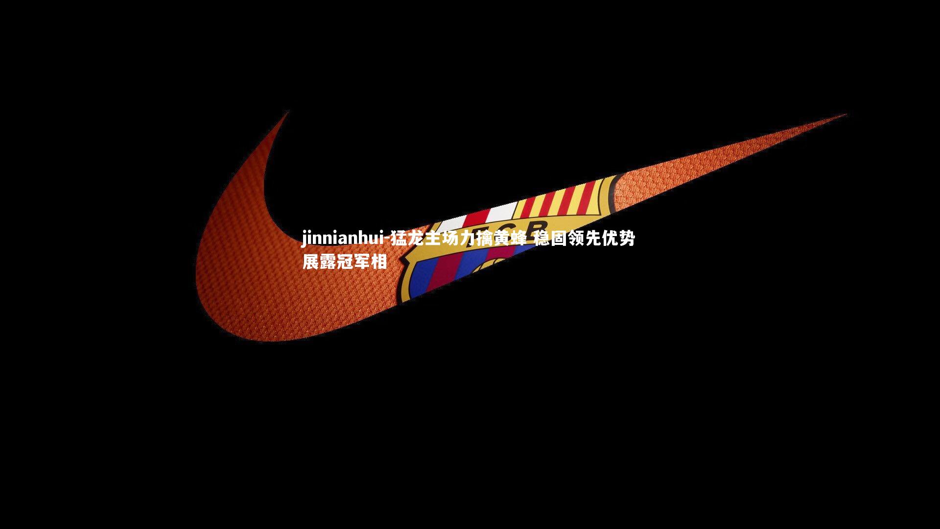 猛龙主场力擒黄蜂 稳固领先优势展露冠军相